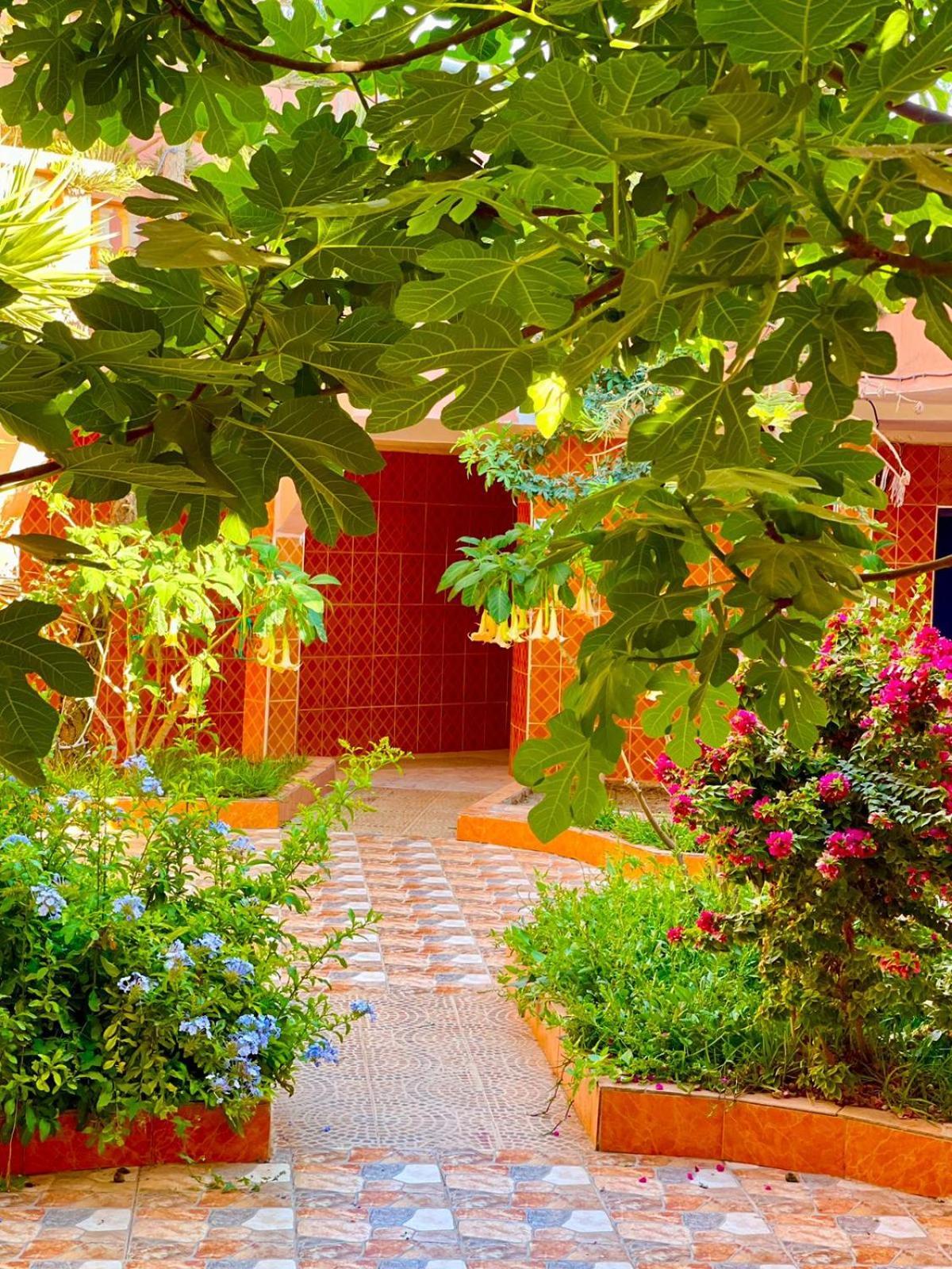 Tamraght Surf & Salsa Ocean House B&B 외부 사진