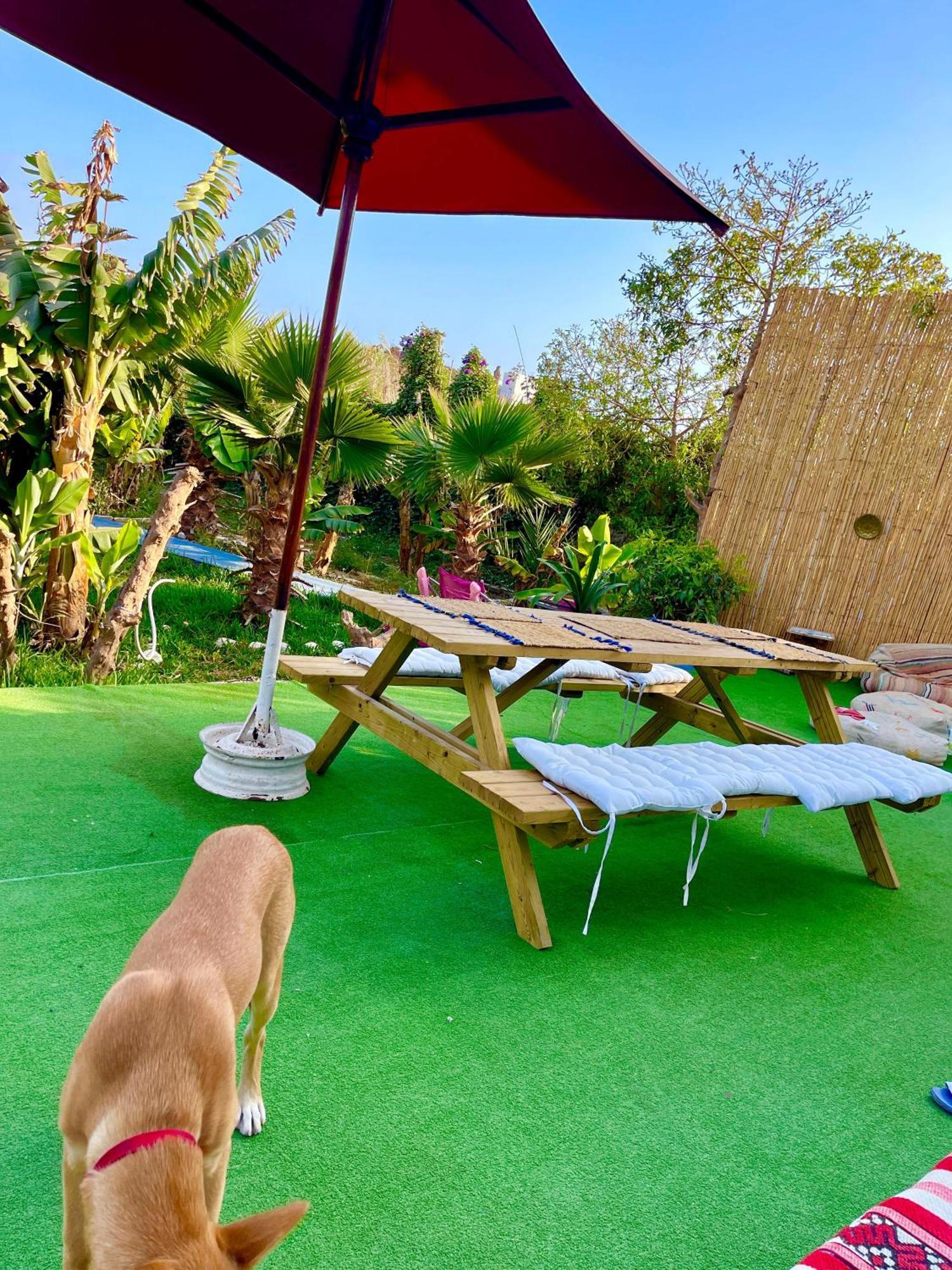 Tamraght Surf & Salsa Ocean House B&B 외부 사진